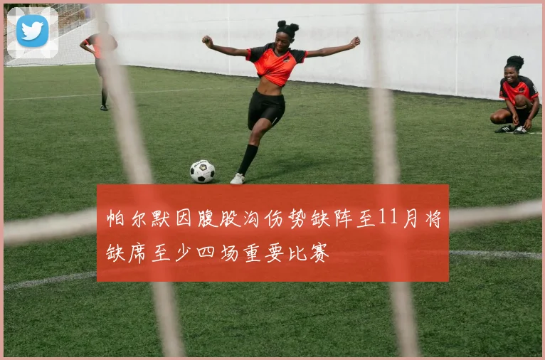帕尔默因腹股沟伤势缺阵至11月将缺席至少四场重要比赛